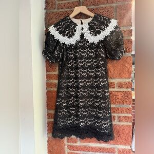Anthropologie. Maeve Black Lace Dress with White Detailing